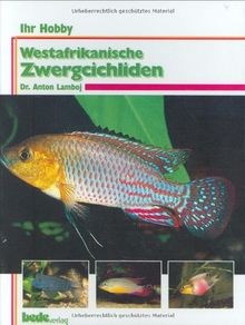 Westafrikanische